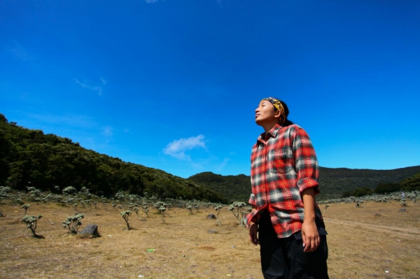 Langit Biru Suryakencana (Dok. Pribadi)