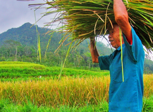 Senyum wajah penduduk asli setempat yang selalu ramah manakala bertatap muka dan bertegur sapa (dok.pri).