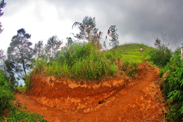 Jalan menuju puncak yang agak landai (dok.pri).
