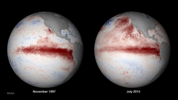 Anomali Suhu Muka Laut pada El Nino 1997 dan 2015 (Sumber : NOAA)