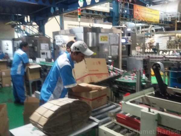 Proses Produksi di Federal Oil Factory (dok.pribadi)
