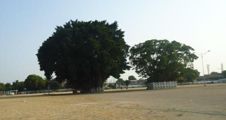 Beringin Kembar Alun-Alun Selatan Yogyakarta (Dok. Pribadi)