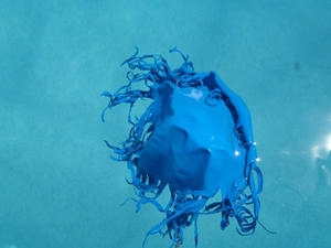 Masih Mau Lepas Balon Gas ke Langit ? Ini Dampaknya..