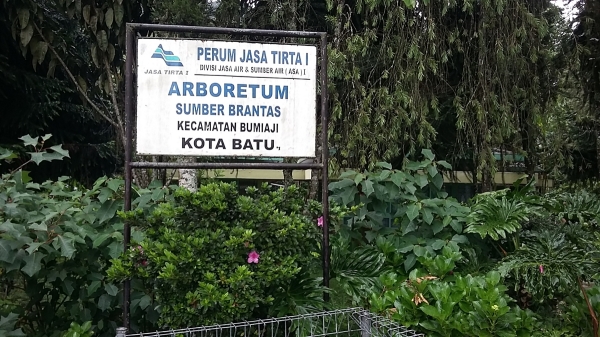 Papan Arboretum (dok.pribadi)