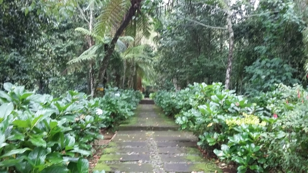 Arboretum (dok.pribadi)