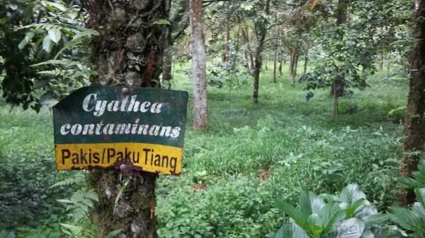 Arboretum (dok.pribadi)