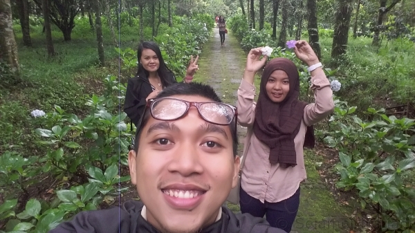 Arboretum (dok.pribadi)