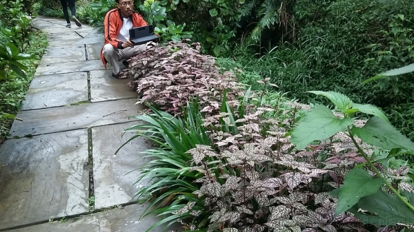 Arboretum (dok.pribadi)