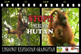 Stop!!! Merusak Hutan, Lindungi Kehidupan Orangutan. Foto dok. Yayasan Palung