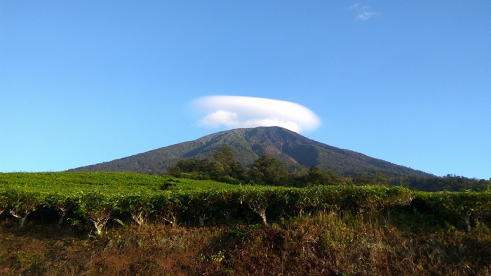 Tempat Wisata di Palembang