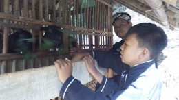 Dua orang siswa sedang memberikan makan kambing. (Foto : Dokpri)