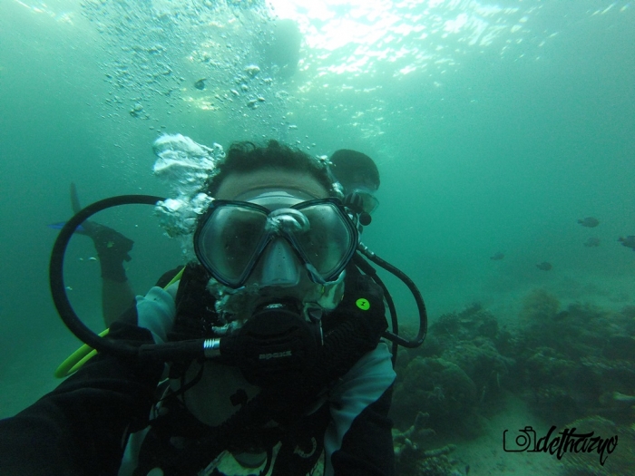 saatnya menyelam (loc. pulau derawan, Kaltim)/ dethazyo