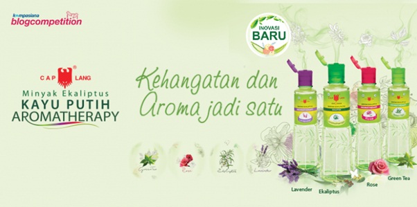 minyak kayu putih aromaterapi sensasi minyak eukaliptus minyak kayu putih aromaterapi sensasi minyak eukaliptus
