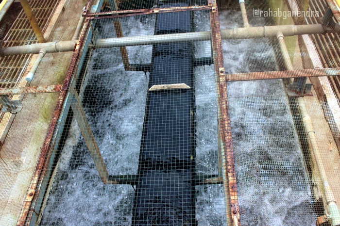 Bak biofiltrasi (Foto Ganendra)