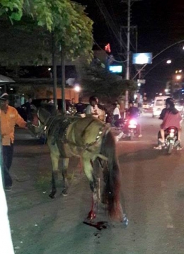 Kusir Menggiring Kudanya untuk Dibawa pulang Ke Mejing (Dok. FB Aris Gelaktawa di ICJ))