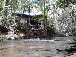 Camp Cabang Panti, di TNGP sebagai tempat (rumah) bagi para peneliti yang melakukan penelitian. Foto dok.Yayasan Palung