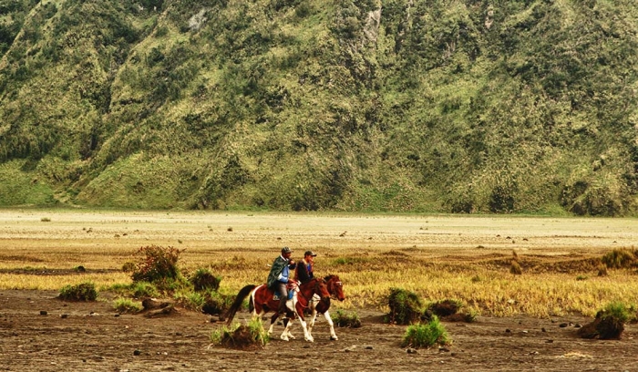 koleksi pribadi, Berkuda di Bromo