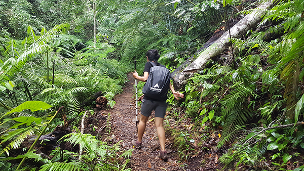 Trek ringan yang sangat menyenangkan