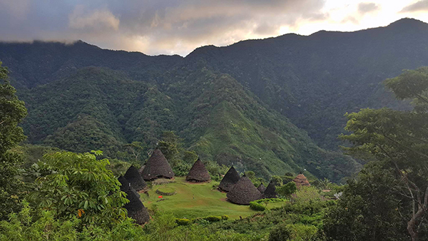 Pagi hari di Desa Wae Rebo. Gambar di ambil dari taman baca, sebuah bangunan yang posisinya paling tinggi, biasanya dipakai pengunjung untuk menikmati sunrise.