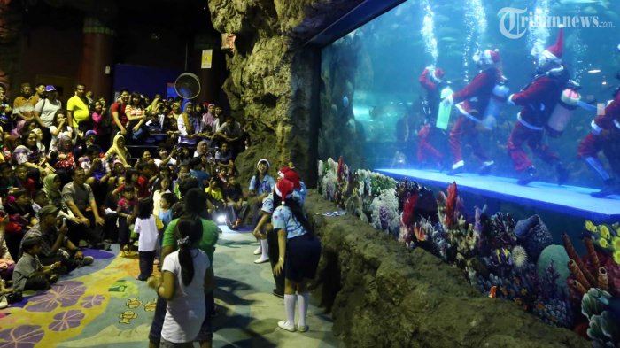 Sea World (sumber Tribunnews.Com)