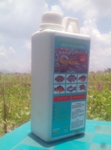 Probiotik ikan no 1 , probiotik biogan. Dok.pribadi