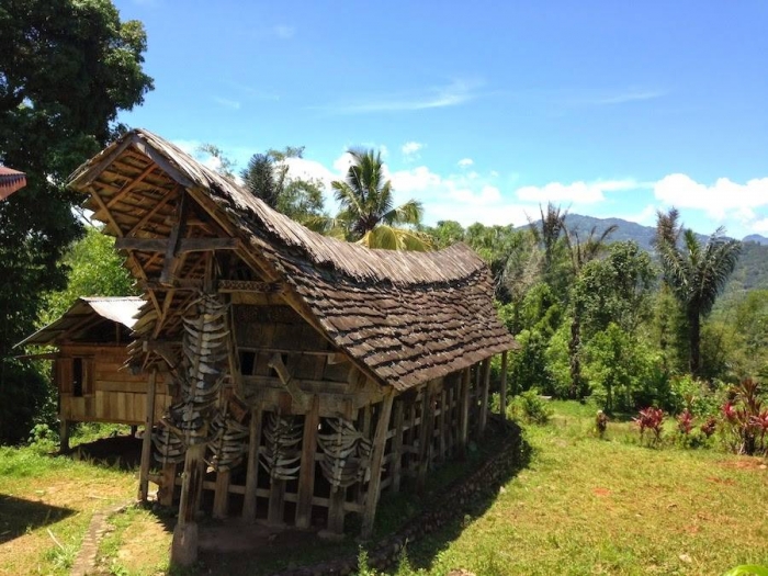 Sumber Gambar: Miracle Toraja