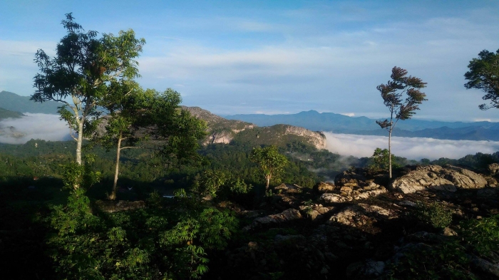 Sumber Gambar: Richard Laga Nuga