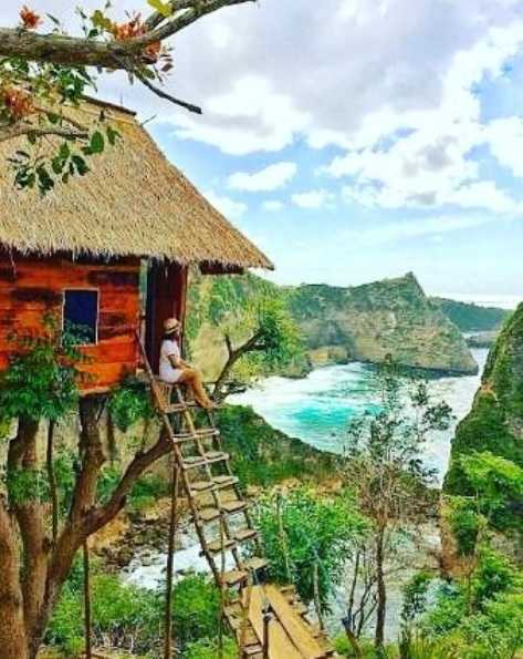 Deskripsi : Rumah Pohon Batu Melonteng I Sumber Foto : Bali Funky
