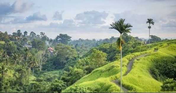 Deskripsi : The Campuhan Ridge sensasi lain menikmati Ubud I Sumber Foto : Bali Funky