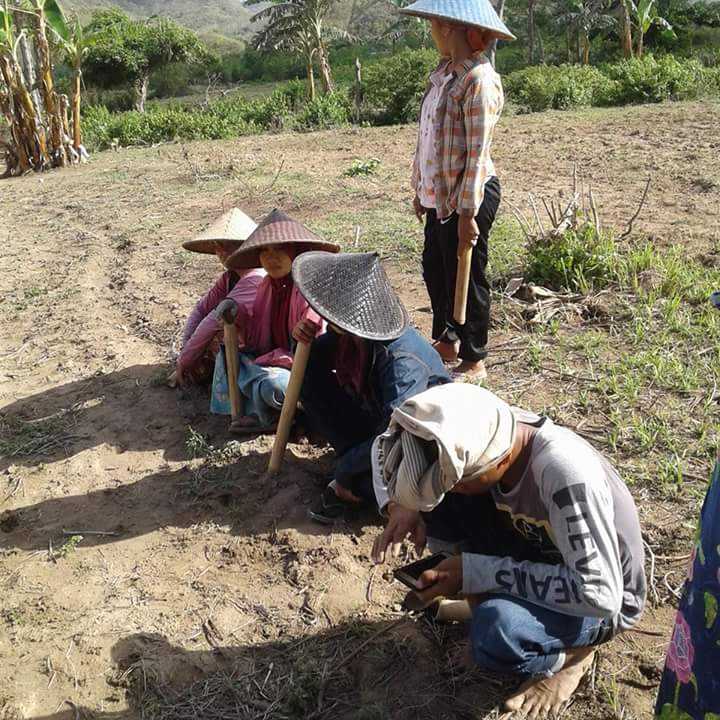 Besiru Dan Solidaritas Sosial Masyarakat Pedesaan Halaman 1 - Kompasianacom