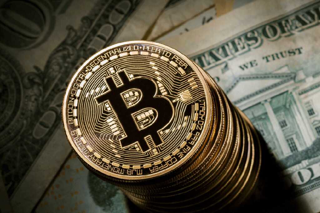 Kriptovaliutos piniginė - kaip saugiai laikyti bitkoinus, žetonus?