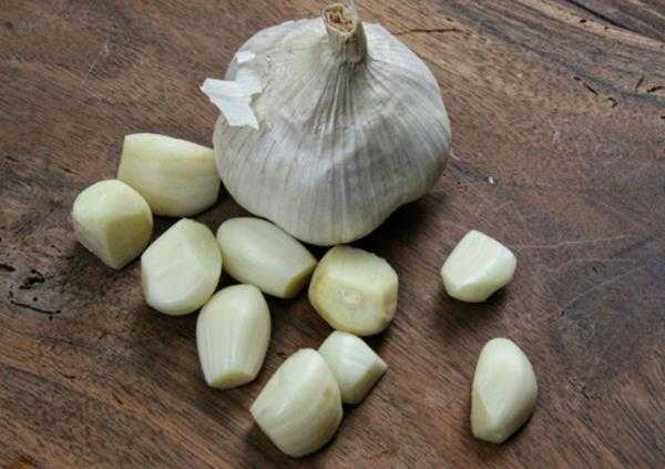 Obat alami ambeien benjolan dengan bawang putih