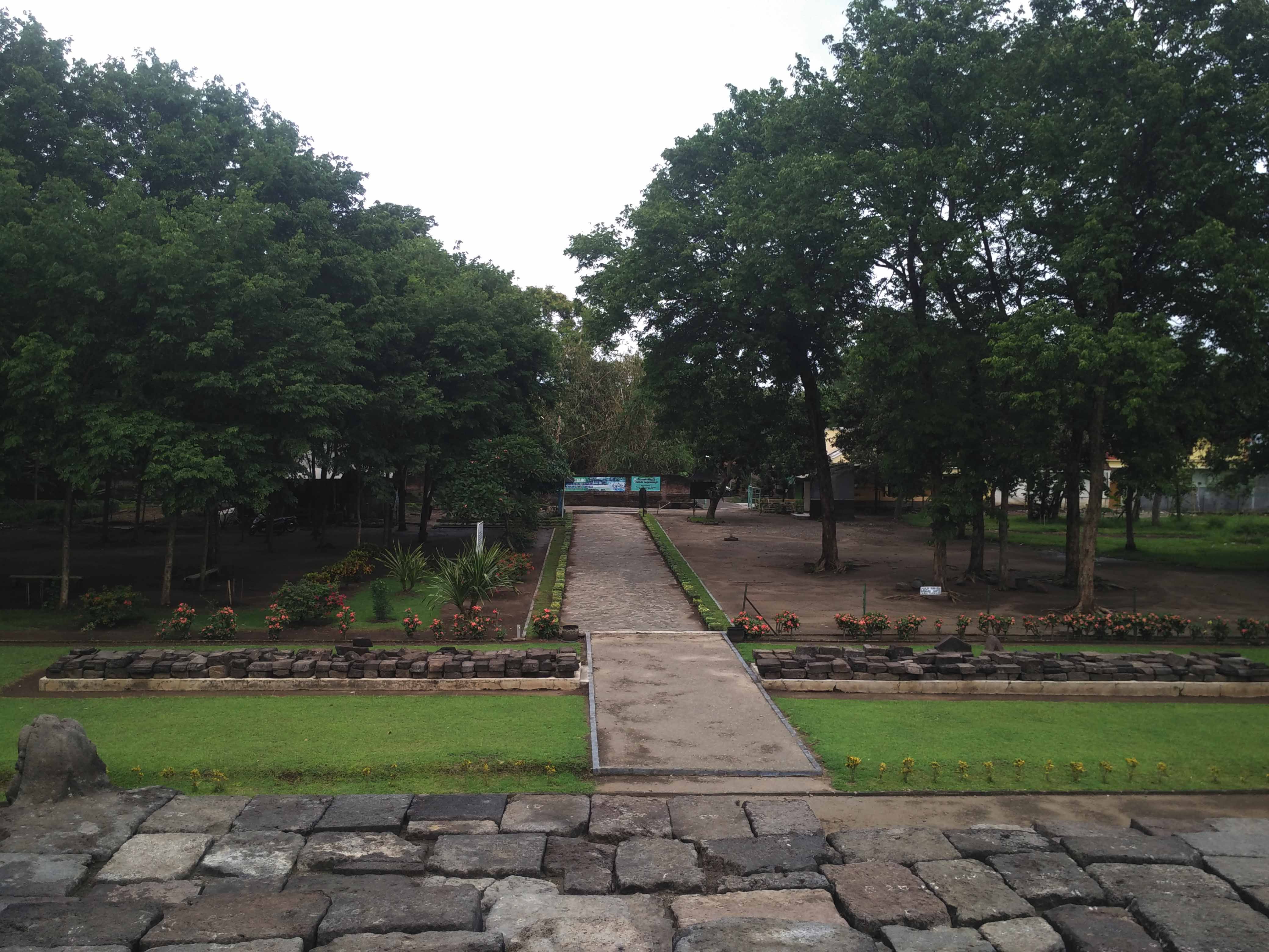 Teduhnya pepohonan yang mengelilingi Candi Tegowangi, jika dilihat dari atas bangunan candi (foto: Luana Yunaneva)