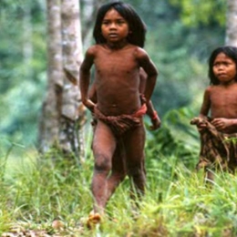 Suku talang mamak merupakan suku asli dari provinsi
