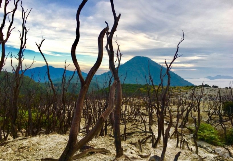 Foto Artikel : Keseruan Pendakian di Gunung Papandayan Garut - Kompasiana.com