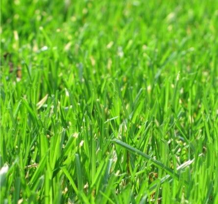 Puisi | Berguru Pada Gelaga - Kompasiana.com