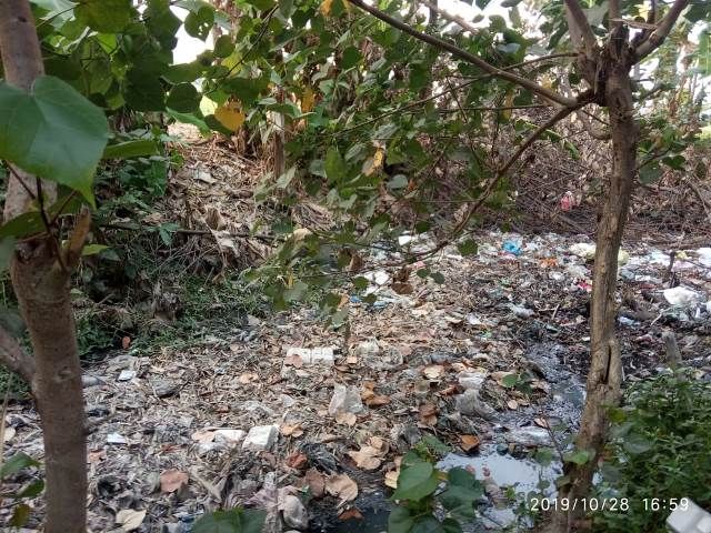 Contoh artikel opini tentang sampah di sungai