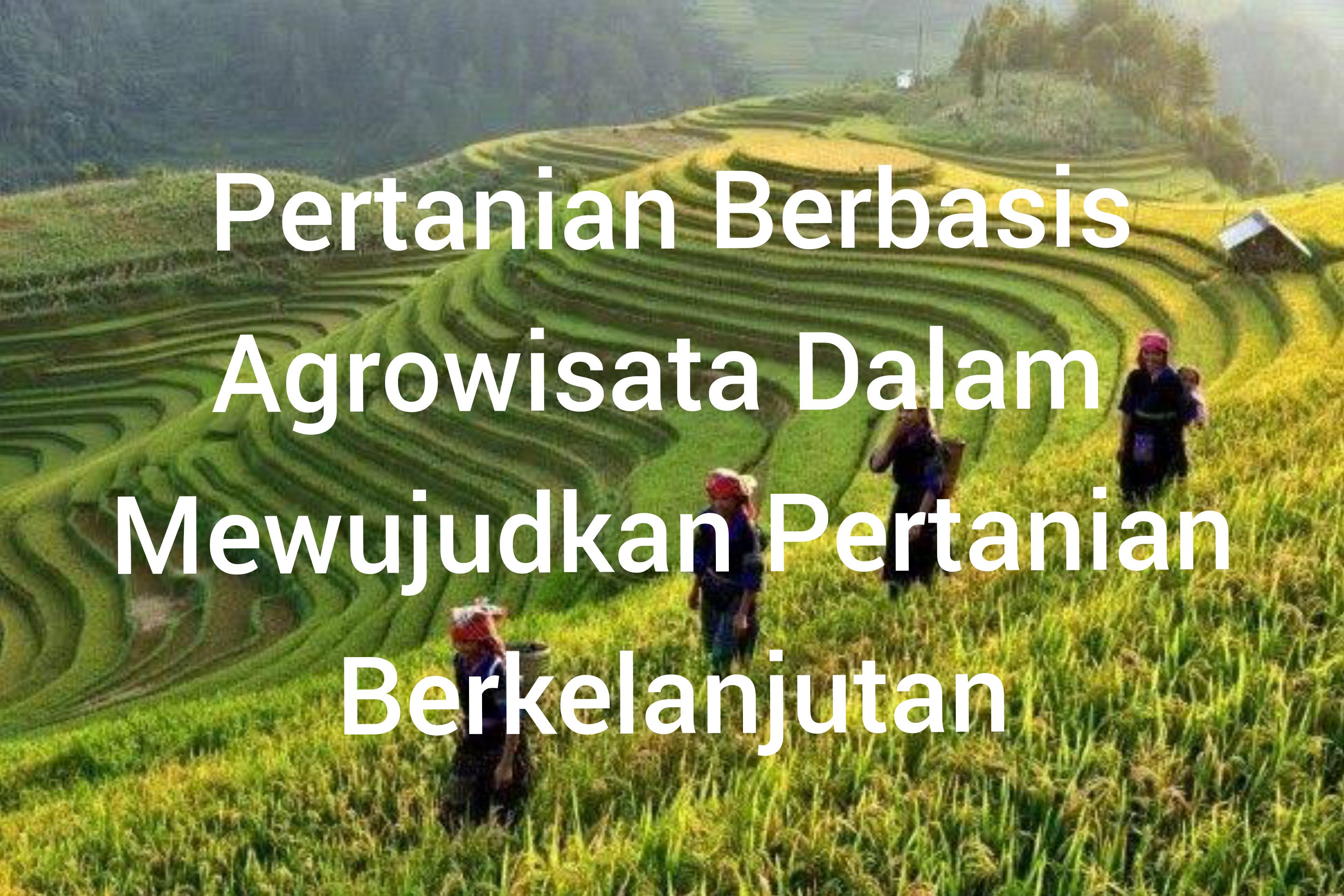 Foto Artikel : Pertanian Berbasis Agrowisata Dalam Mewujudkan Pertanian ...