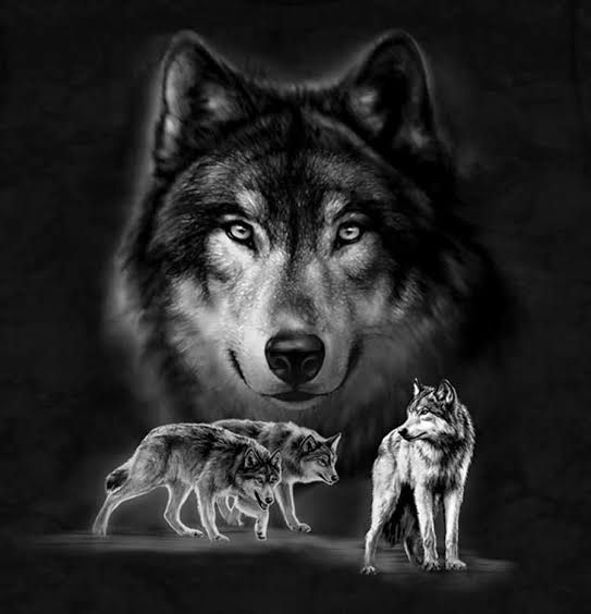 Diri dalam perempuan betina serigala ada setiap Ada Serigala