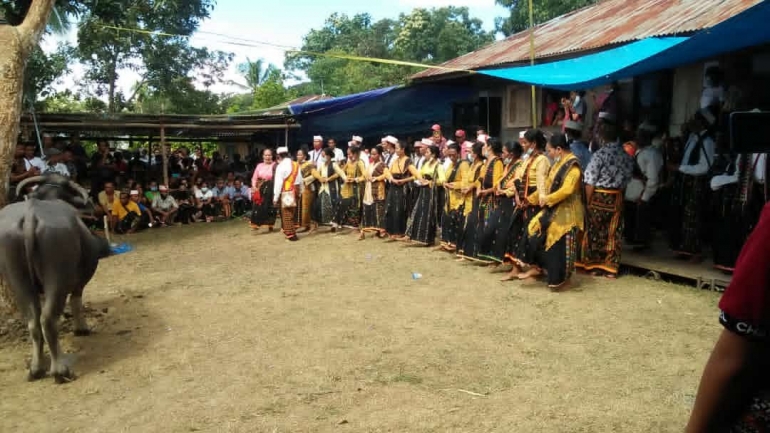 Tarian Vera Budaya Rongga Halaman 1 Kompasiana Com