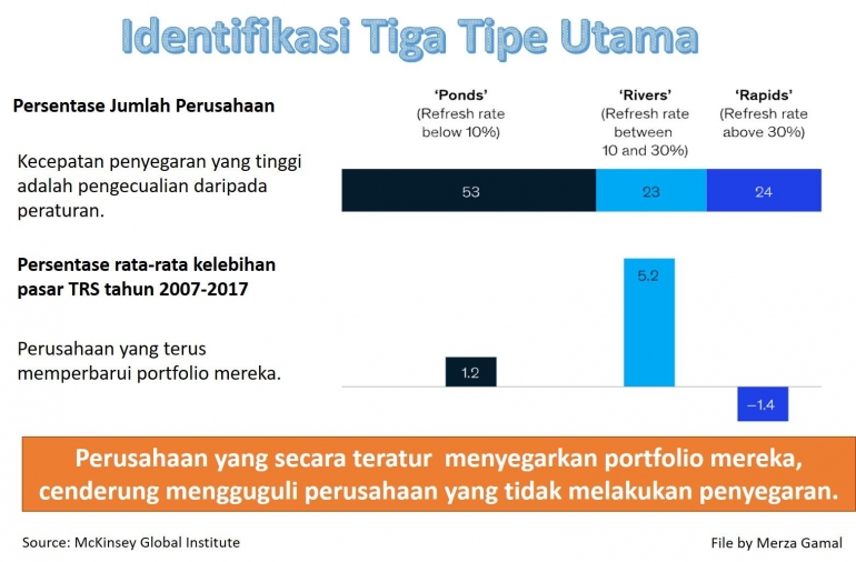 Image: Identifikasi 3 tipe utama perusahaan yang memiliki portfolio (File by Merza Gamal)