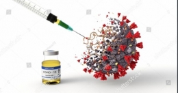 Kekebalan dari vaksinasi menuju kekebalan kelompok di masyarakat(dokumentasi poto:shutterstock.com)