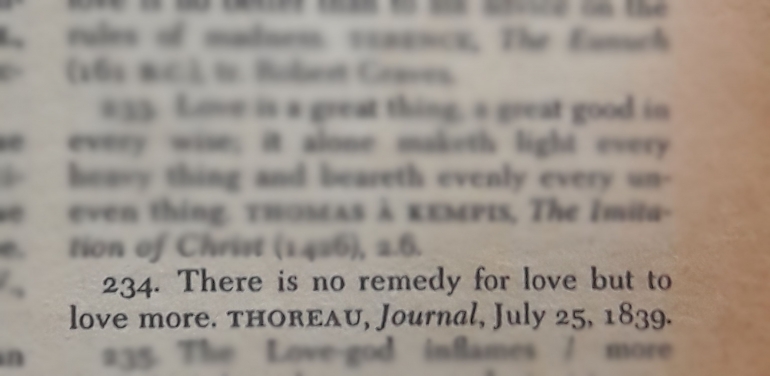 [foto pribadi | The Penguin| International Thesaurus of Quotations | Rhonda Thomas Tripp] 