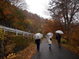 Jalan-jalan di musim gugur (dokumentasi pribadi)