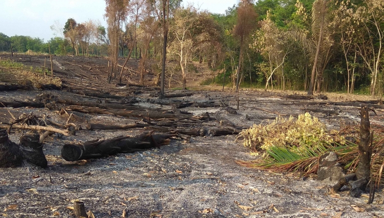 Kebakaran lahan di sebuah desa / Sumber ilustrasi: foto pribadi penulis 