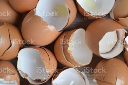 sumber gambar: iStock-kulit telur ayam