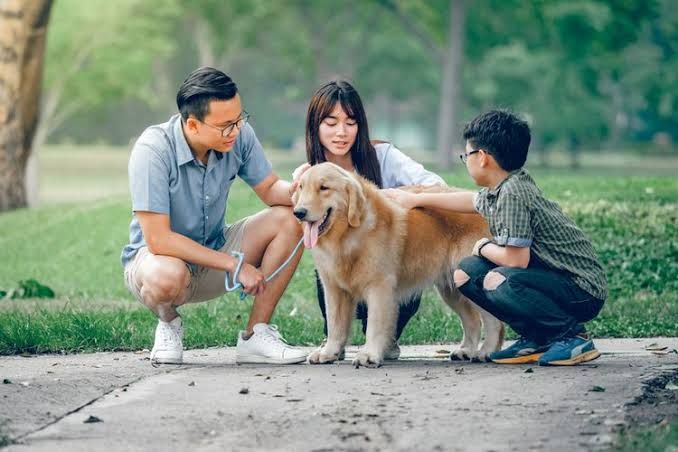 Keluarga Yang Merawat Seekor Anjing | Sumber Shutterstock via Kompas.com