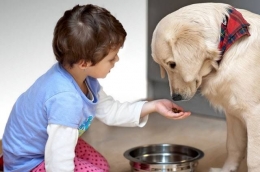Seorang Anak Yang Memberi Makan Anjing | Sumber Educenter