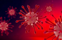 Virus Corona (sumber: halodoc.com)