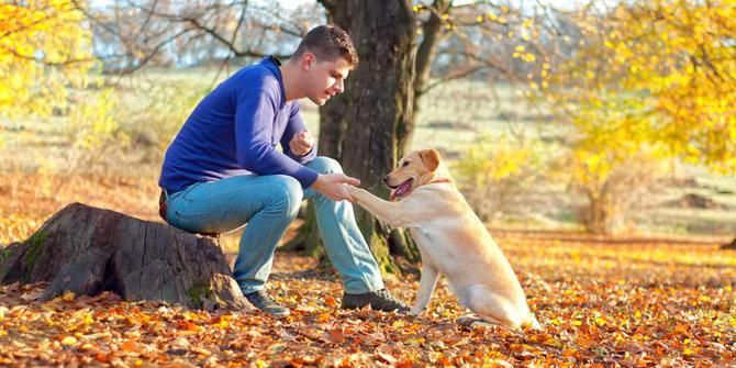 Ilustrasi pria dan anjing: Shutterstock.com/ bogdanhoda 